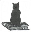 cat-on-book2.jpg (4364 bytes)