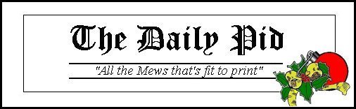 dailypidbanner-xmas.jpg (22460 bytes)