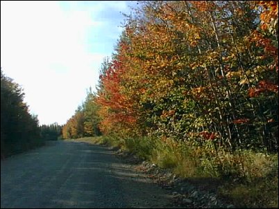 maine-2003-1.jpg (39729 bytes)