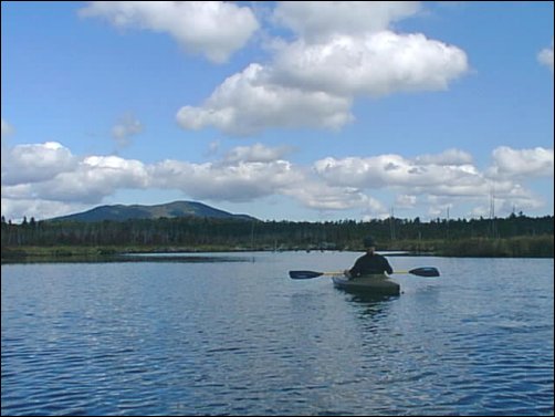 maine-2003-10.jpg (35866 bytes)