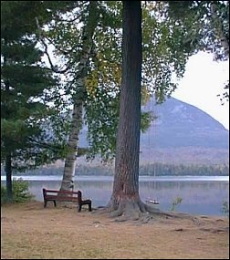 maine-2003-16.jpg (27990 bytes)