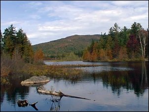 maine-2003-2.jpg (18814 bytes)