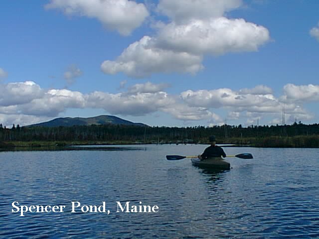 maine-2003-21.jpg (47795 bytes)