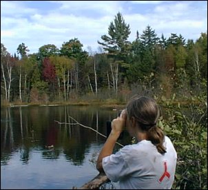maine-2003-3.jpg (25682 bytes)
