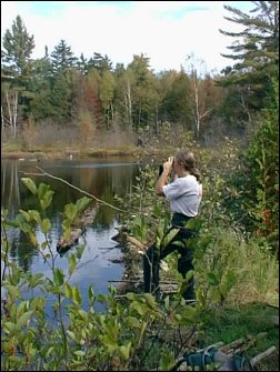 maine-2003-4.jpg (30895 bytes)