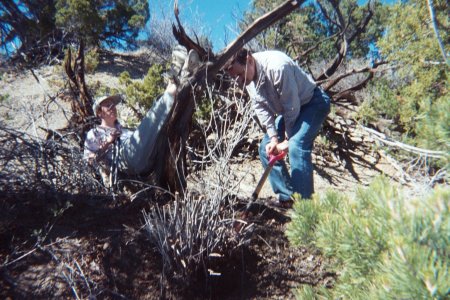 utah2002-g.jpg (55178 bytes)